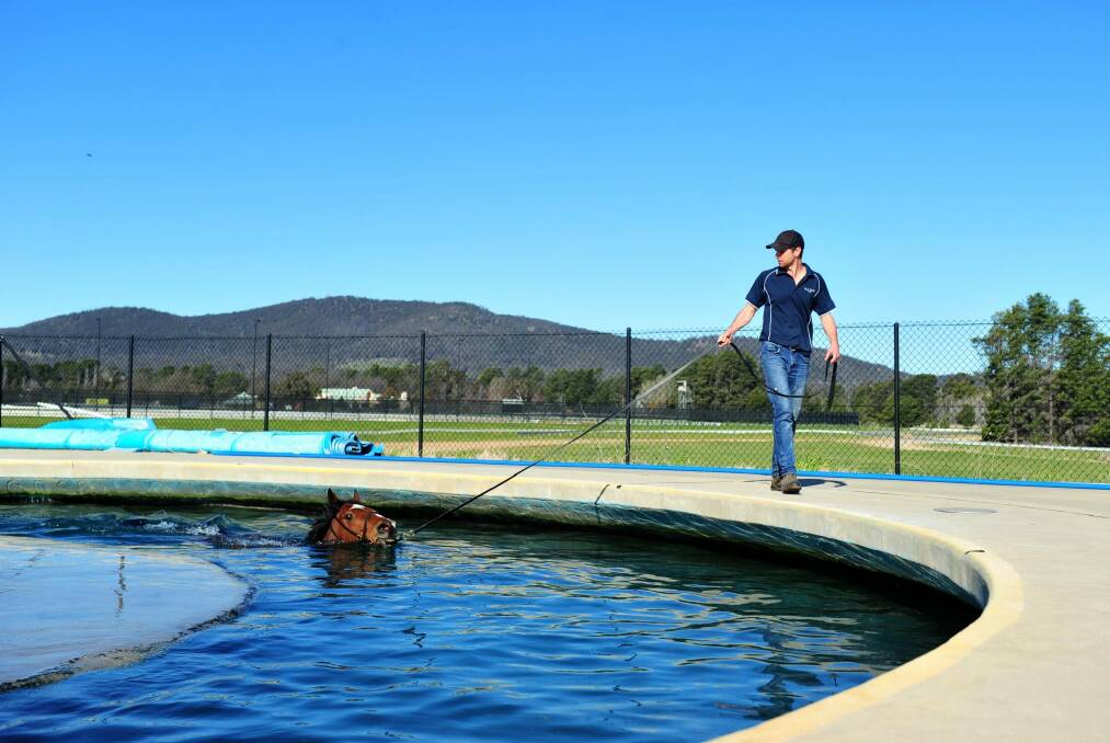 Sport: Canberra trainer, Matthew Dale with horse Fell Swoop at Thoroughbred Park. 16th September 2015. Photo by Melissa Adams of The Canberra Times. Photo: Melissa Adams