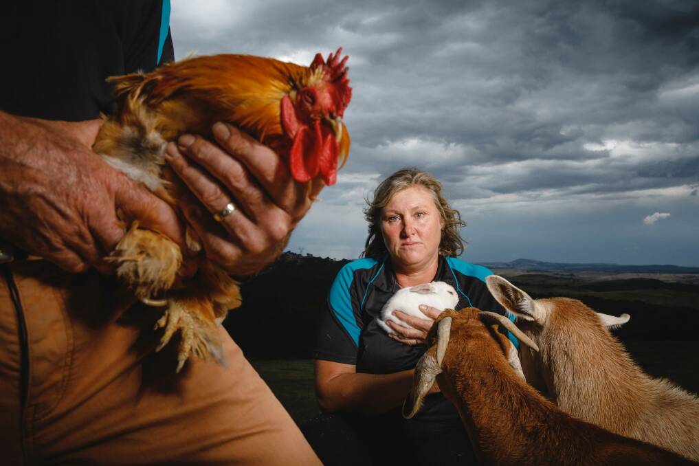 Noah's Ark Farm Friends Petting Zoo owner Cath Rogers is disappointed that the University of Canberra will no longer bring the petting zoo to assist students during exam week and other stressful periods.  Photo: Sitthixay Ditthavong