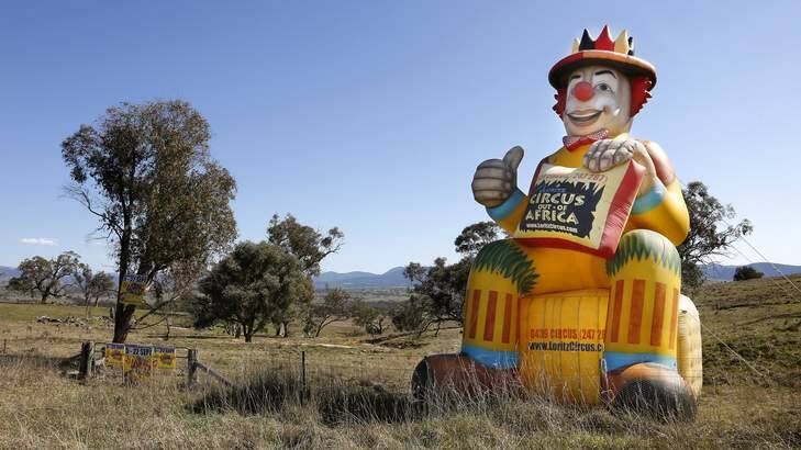 A giant balloon clown on William Hovell Drive near Hawker, advertising the arrival of the circus. Photo: Jeffrey Chan