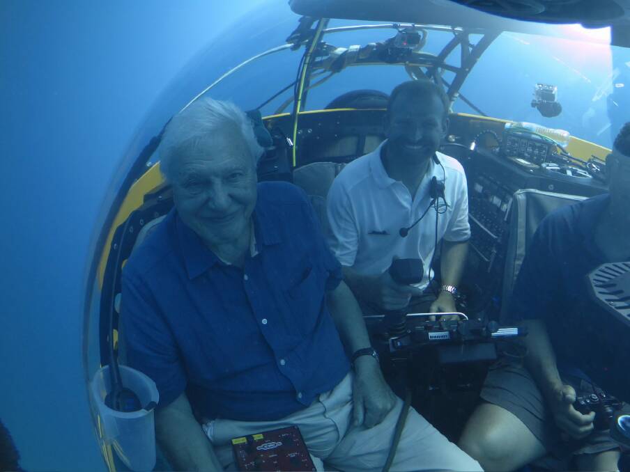 A shot from David Attenborough's Great Barrier Reef Dive virtual reality experience. Photo: Atlantic Productions Ltd