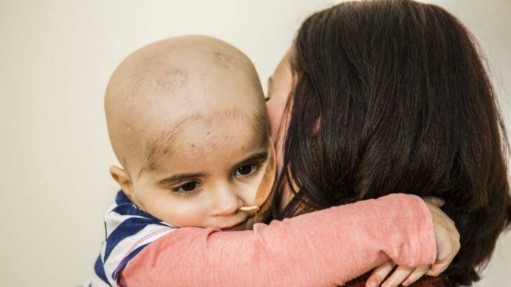 Annie McGuigan, 3, has endured months of treatment for brain cancer. Photo: Jamila Toderas