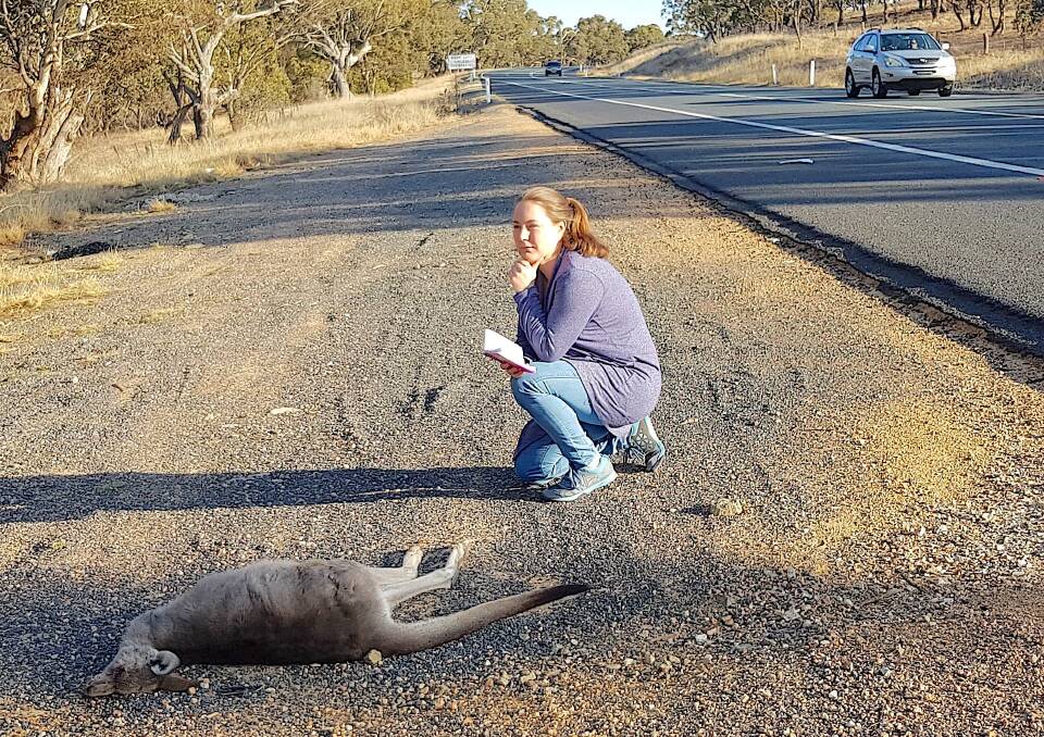 Katie Carlisle counts road kill along the Monaro Highway. Photo: Ray Carlisle