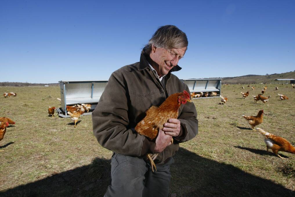 Tony Coote with his free range chickens in 2009. Photo: Andrew Meares