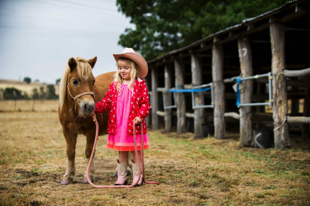Sidney Keir from Sutton with Shetland pony Boo, ahead of the Gunning Show. Photo: Rohan Thomson