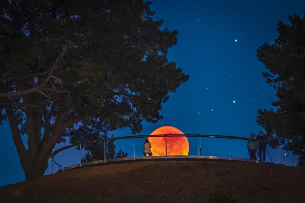The blood moon seen from the National Arboretum last Saturday morning. Photo: Ari Rex