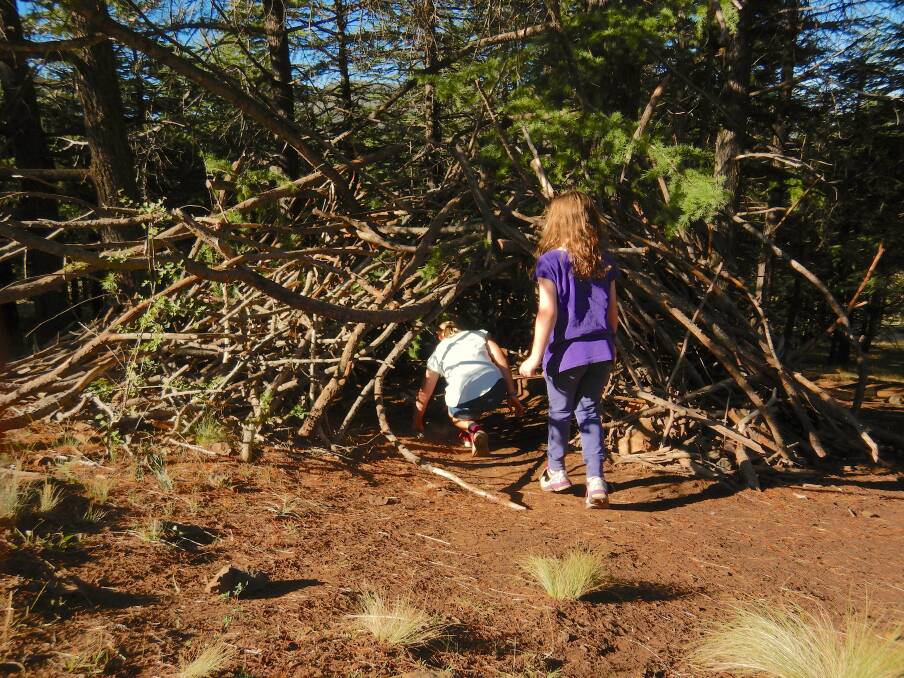 Playing at a temporary bush cubby at the National Arboretum. Photo: Tim the Yowie Man