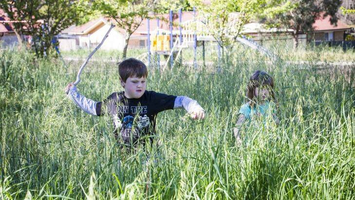 Matthew and Abigail Eriksson fight their way through the overgrown grass at the park. Photo: Matt Bedford