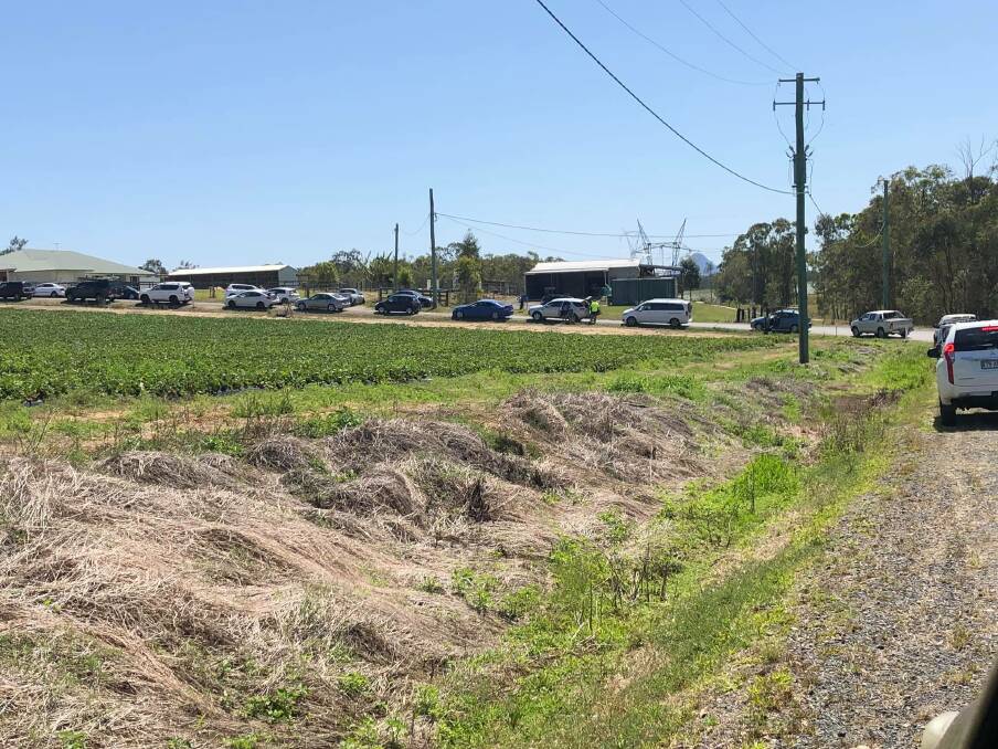 Cars queue at a Wamuran strawberry farm for two hours on Wednesday. Photo: Faith Jennings - Facebook