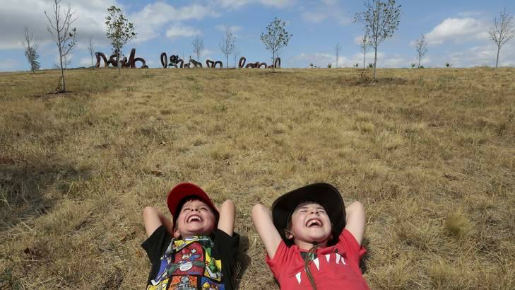 Felix Powell, 5, and George Powell, 8, from Kambah playing at the National Arboretum Canberra in front of the art work Wide Brown Land. Photo: Jeffrey Chan