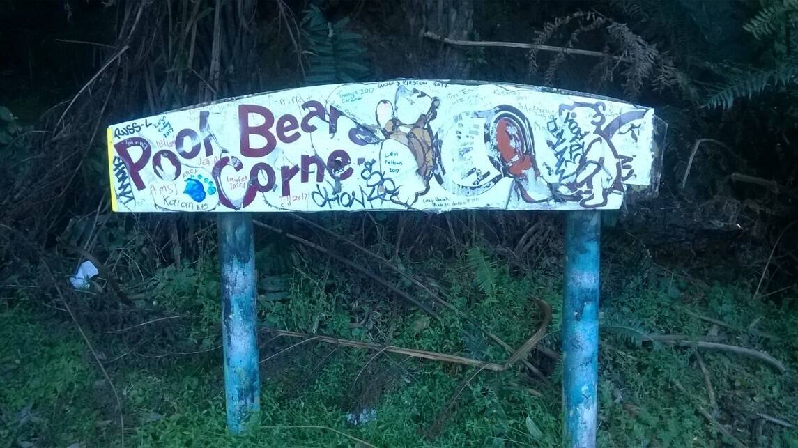 Pooh Bear's Corner has been a much-loved highlight of the Kings Highway for almost 50 years. Photo: Phill Sledge
