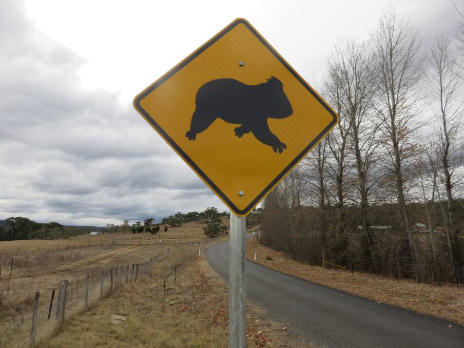 Koala crossing signs have been installed between Canberra and Cooma. Photo: James Fitzgerald