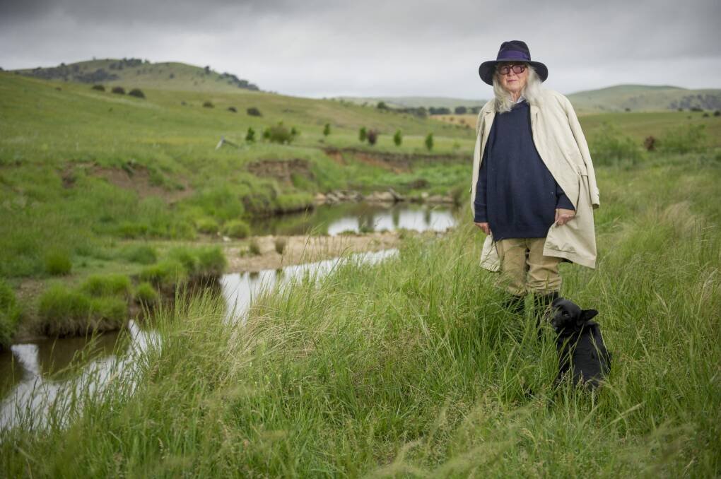 Dimity Davy and her late husband, Bill, built a leaky weir across Turallo Creek, transforming a dry gully into a lush waterway. Now NSW Water is threatening a $1 million fine if it is not pulled down.
 Photo: Jay Cronan
