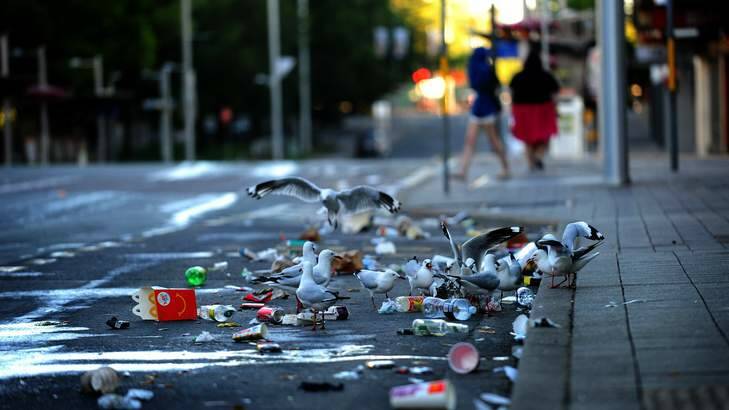 Cleaning crews are expected to collect about 500kg of post-party waste on New Year's Day. Photo: Karleen Minney
