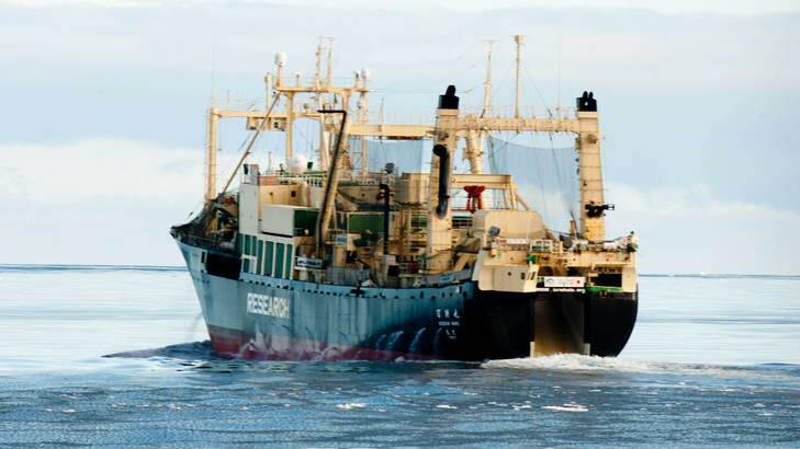 The Japanese whaling vessel Nisshin Maru in Antarctic waters. Photo: Supplied