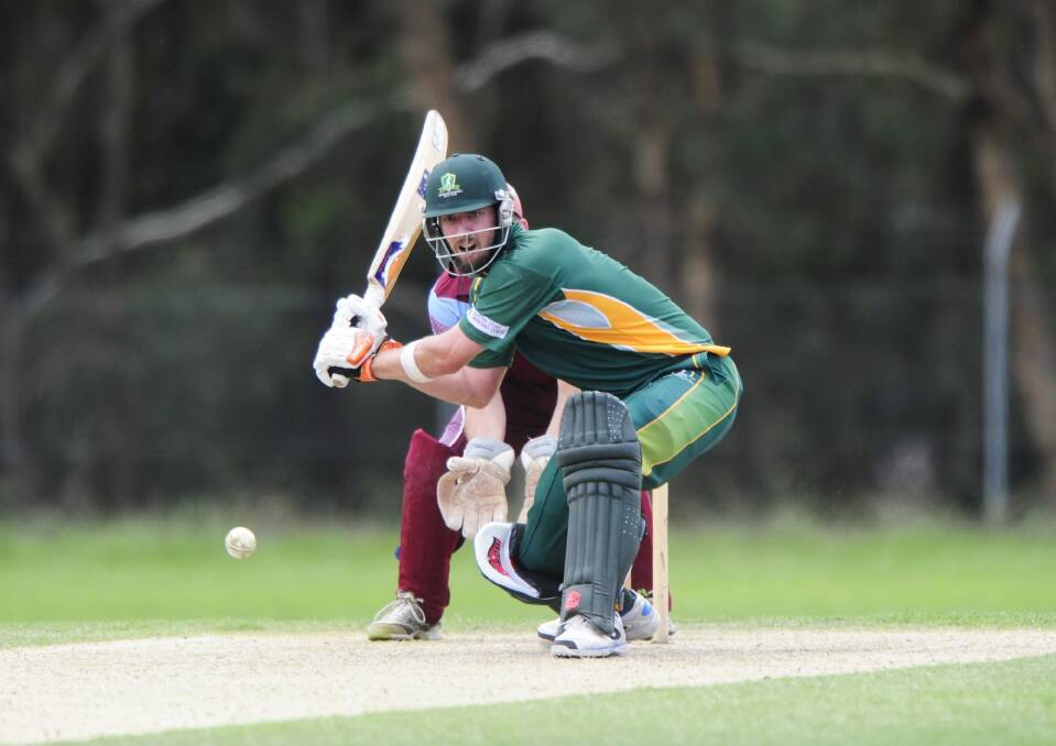 Weston Creek Molonglo all-rounder Blake Dean smashed 76 off 30 balls for the ACT Comets in a Twenty20 game on Sunday. Photo: Melissa Adams