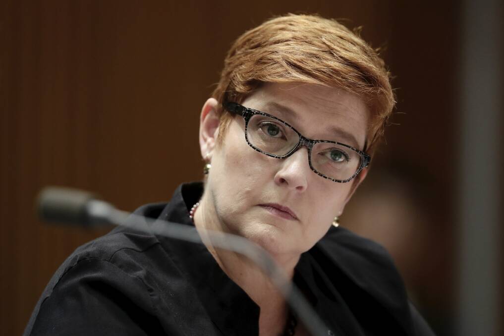 Foreign Affairs Minister Marise Payne said public service departments need to act on domestic violence. Photo: Alex Ellinghausen