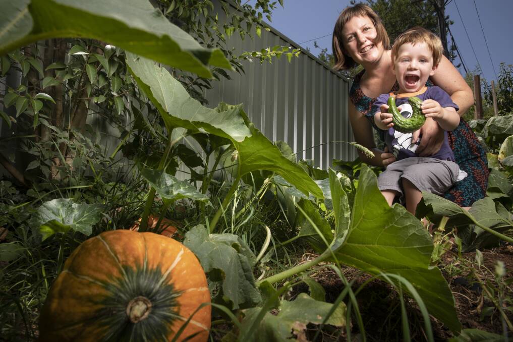 Belinda Healy and her two-year-old son Jarvis Leary (pictured) give away homegrown produce that they cannot eat themselves through a Buy Nothing group. Photo: Sitthixay Ditthavong