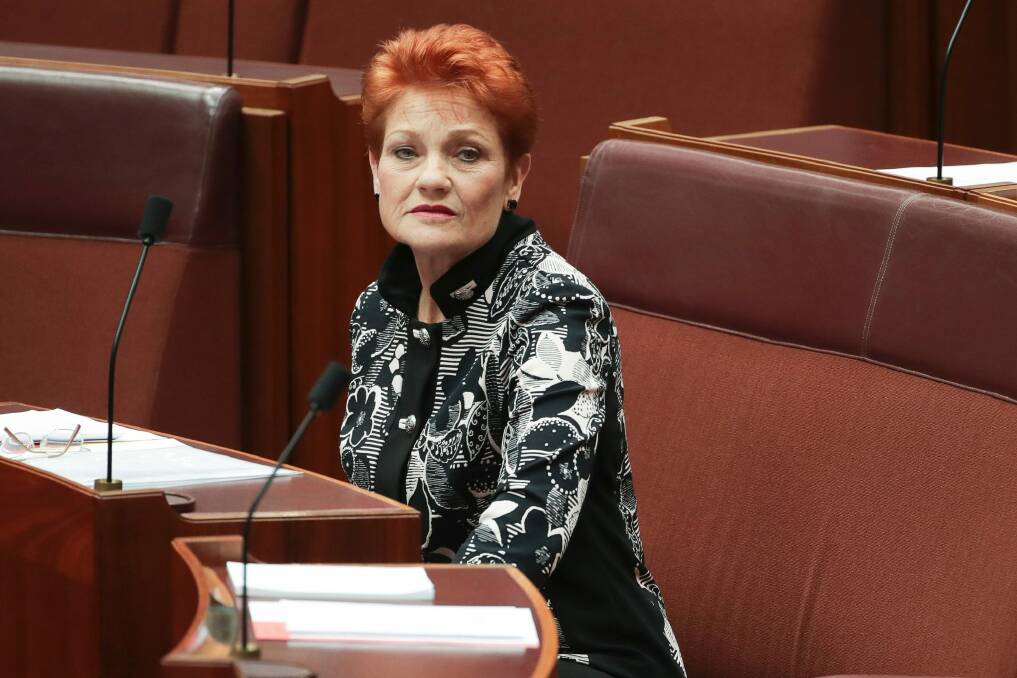 Senator Pauline Hanson during debate in the Senate at Parliament House in Canberra. Photo: Alex Ellinghausen