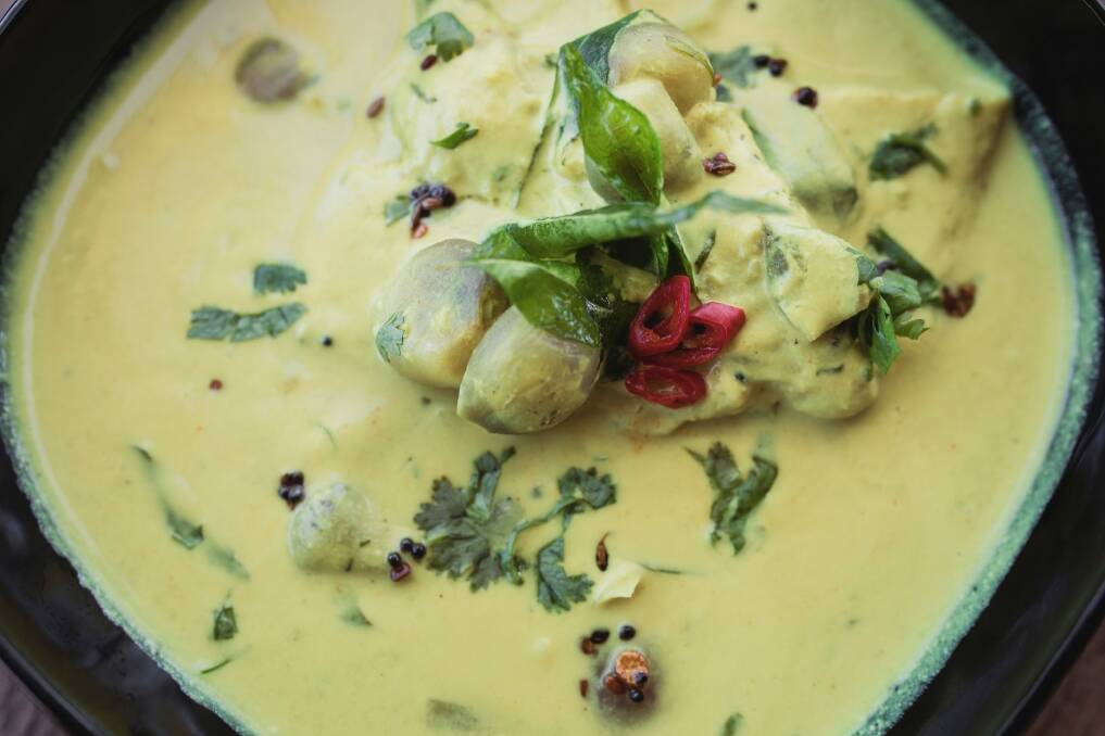 Fish kerala curry is perfectly cooked white fish in a sunny yellow curry sauce, tangy and rich with coconut milk, ginger and green chilli in perfect balance. Photo: Jamila Toderas