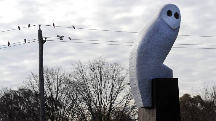Something to like? The giant owl sculpture, on the corner of Belconnen Way and Benjamin Way. Photo: Graham Tidy
