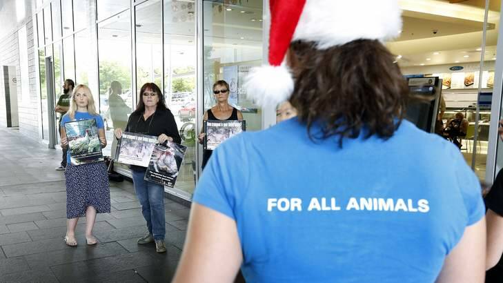 From left, Animal Liberation ACT members Jessica Hare, Carolyn Drew and Benice Richmond appeal to shoppers at the Canberra Centre. Photo: Jeffrey Chan