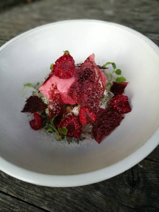 Raspberry sorbet and coconut. from Sage Dining Rooms.  Photo: Thomas Heinrich
