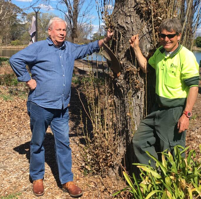 Jerry van Meegen (left) and Andrew Forster (right) at the ‘Rake Tree’ in Commonwealth Park. Photo: Tim the Yowie Man