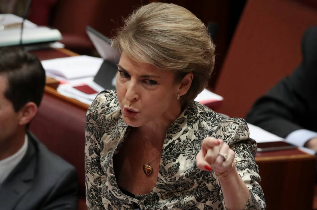 Employment Minister Michaelia Cash oversees a remuneration policy that left about 40 per cent of APS staff without a pay increase for four years. Photo: Andrew Meares