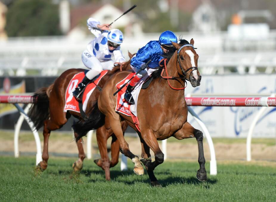 Tools and all: Craig Williams and Hartnell race away with the PB Lawrence Stakes. Photo: AAP