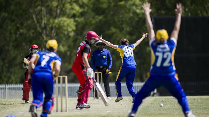 The Meteors celebrate after Rene Farrell traps Lauren Ebsary LBW. Photo: Rohan Thomson