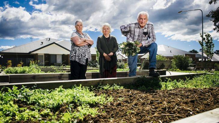 Judith Young, Heather MacKell, and Ian Barlow in the vege garden of their retirement village in Rivett. Photo: Rohan Thomson