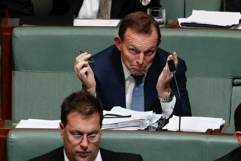 To former prime minister Tony Abbott, the Labor Party is a haven for secular progressives. Photo: Alex Ellinghausen