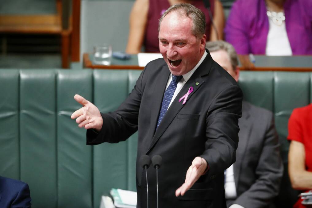 Question time: Barnaby Joyce is on a crusade to get government agencies into the bush. Photo: Alex Ellinghausen