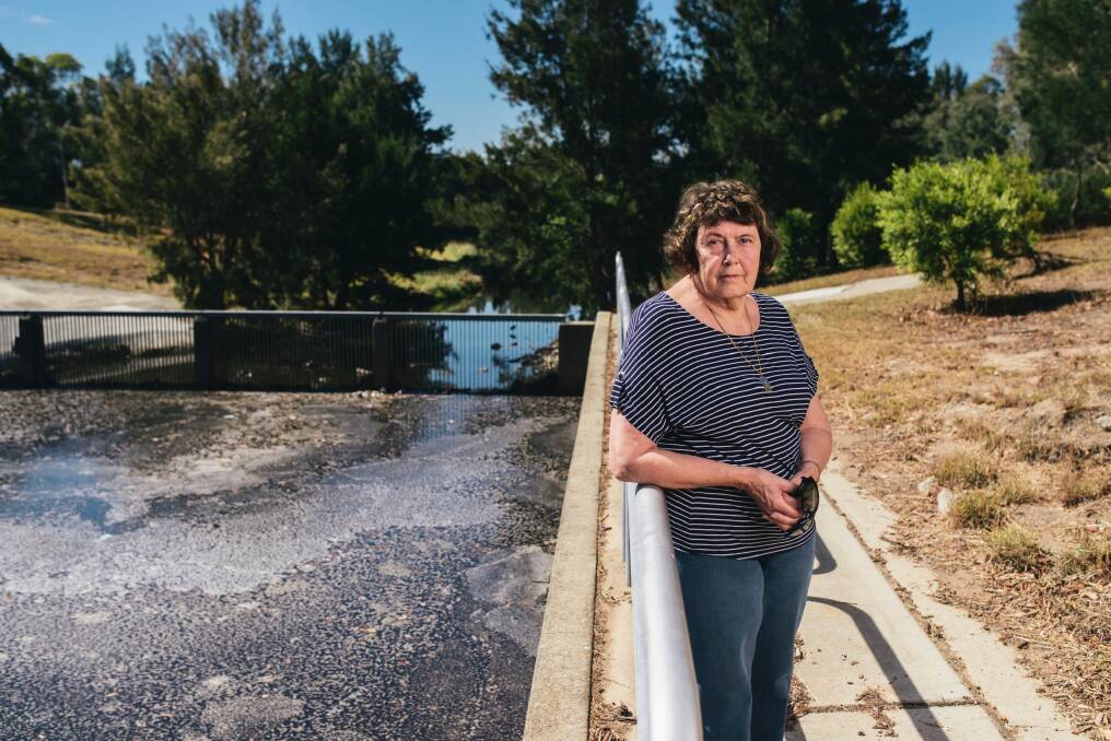 Glenys Patulny president of Tuggeranong Community council at the Kambah drain entry to Lake Tuggeranong. She is concerned about the water quality of the lake's catchment. Photo: Rohan Thomson