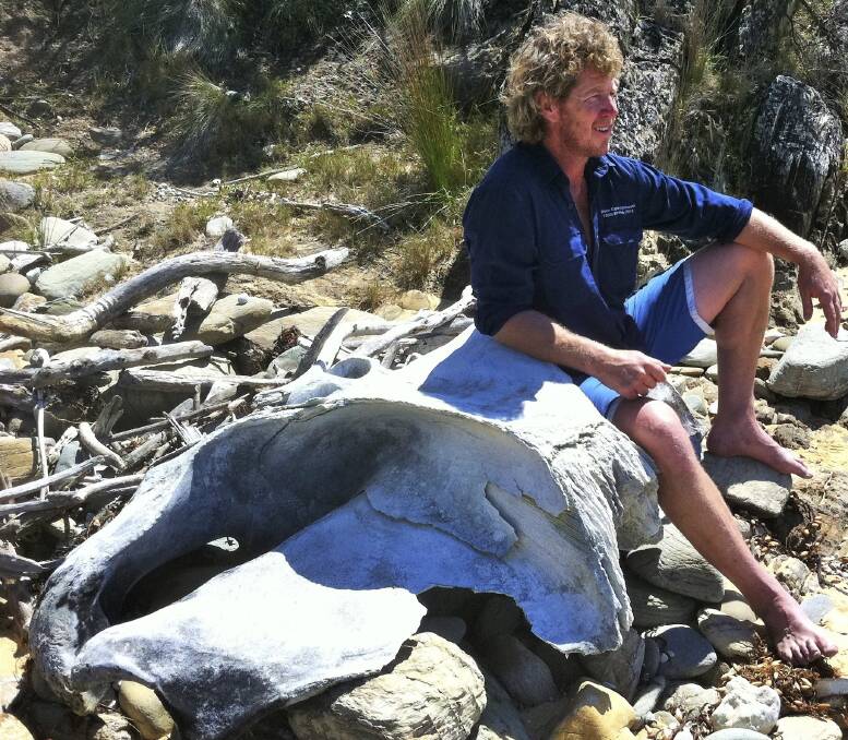Handy perch: Sam Bright on the whale skull-cum-seat on a remote beach at Mimosa National Park. Photo: Tim the Yowie Man