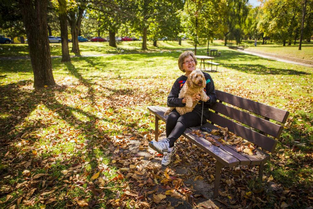 Karen Heuer of Kingston with her dog, Tabitha, enjoying the autumn leaves. Photo: Jamila Toderas