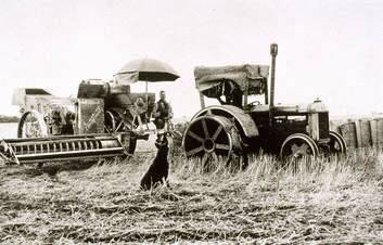 A photo of harvest time in Rainbow, Victoria, circa 1930, which hangs in Warren Truss' office.