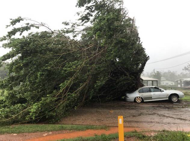 Trees have come crashing down in far north Queensland overnight. Photo: Bureau of Meteorology