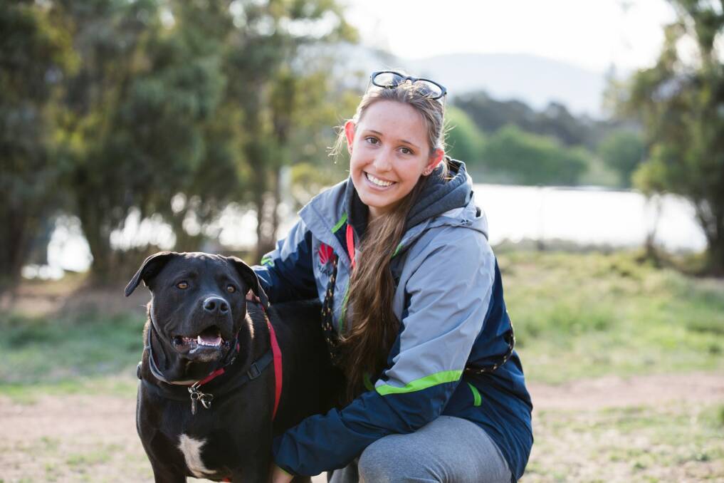 Jana Teivonen, with Oscar the staffy cross lab at the Tuggeranong dog park, disagrees with annual registration for animals. Photo: Jamila Toderas