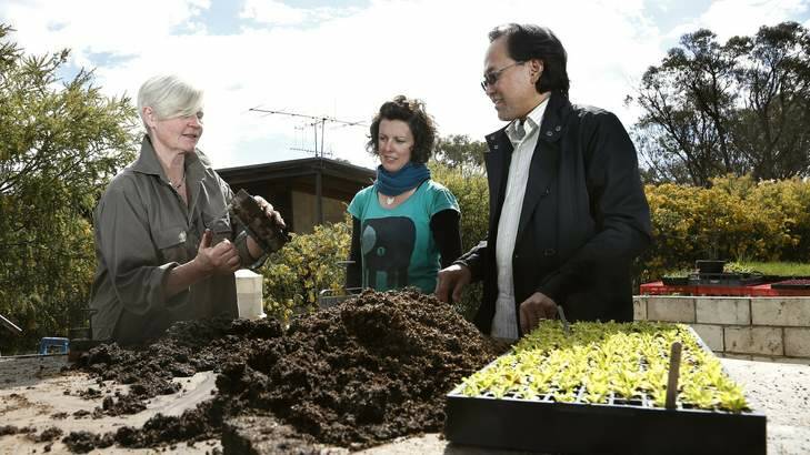 Joyce Wilkie explains how to prepare seedlings with Kirsten Bradley from Mudgee and Shuman Partoredjo from Sydney during a permaculture workshop. Photo: Jeffrey Chan