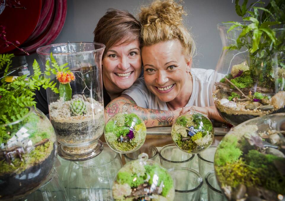 Moxom and Whitney co-owners Bin Whitney, left, and Loulou Moxom with some of their terrariums.



Photo Jamila Toderas Photo: Jamila Toderas