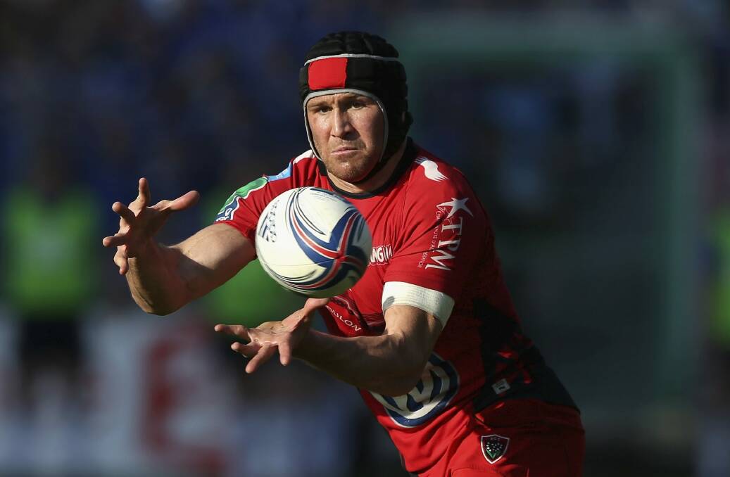 In the frame: Matt Giteau's form for Toulon would have him firmly in World Cup calculations. Photo: Getty Images