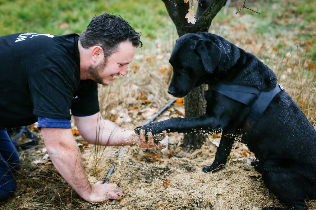 Jayson Mesman with Samson the black labrador. Photo: Lean Timms