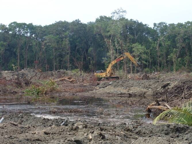 Land-clearing rates are a matter of concern for SEQ community groups Photo: Bill Laurance