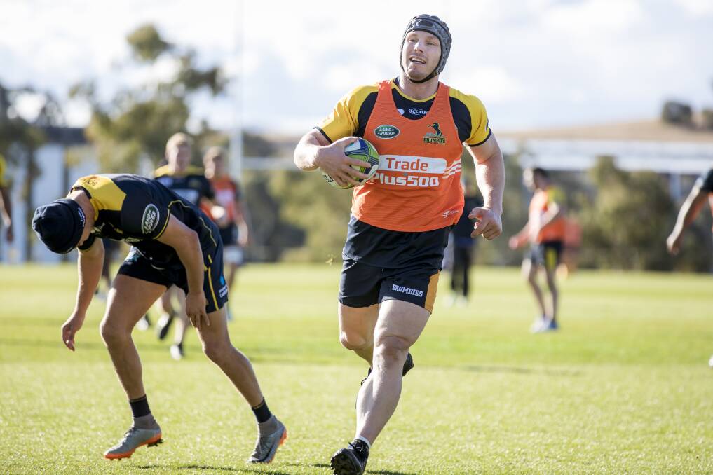 Brumbies back-rower David Pocock at training on Wednesday. Photo: Sitthixay Ditthavong