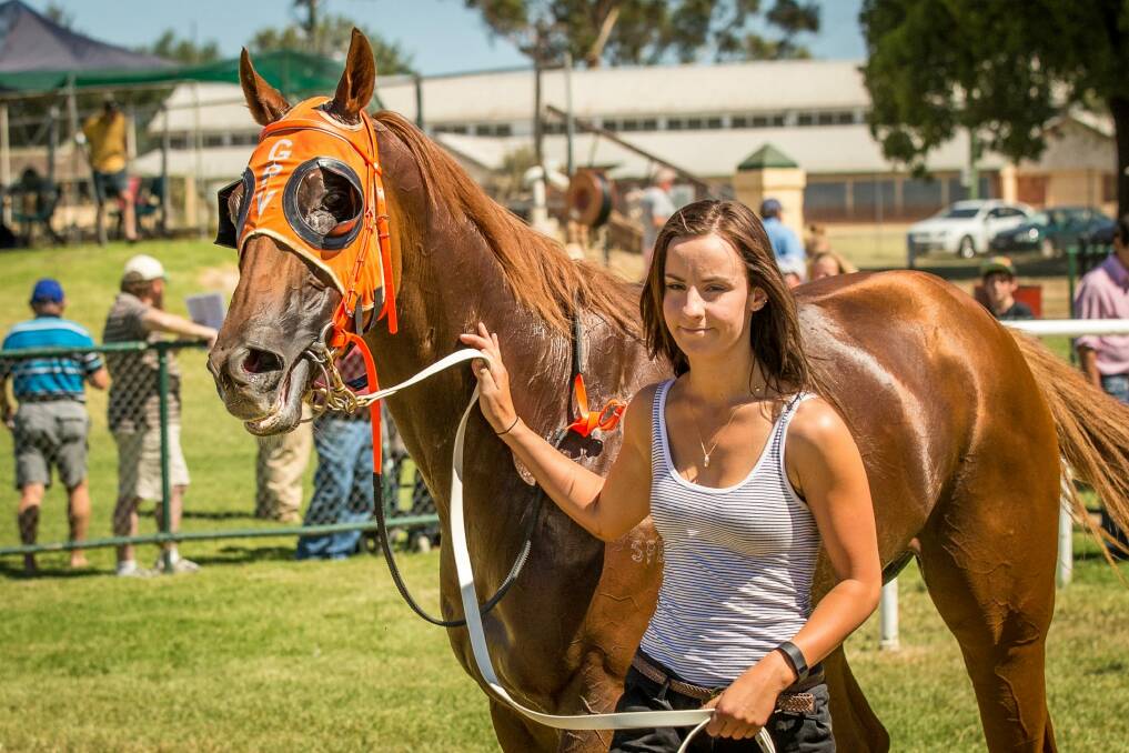 Canberra track work rider Thomson at a race meeting at Cowra in 2015. Photo: Janian McMillan Photo: Janian McMillan (racingphotograpy.com.au)