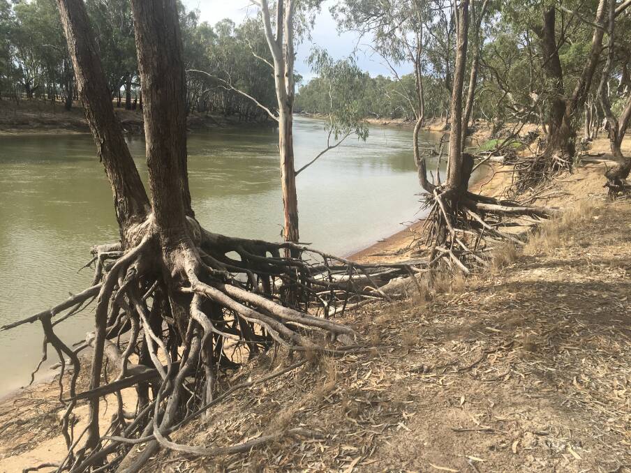 Politicians have been accused of not standing up to SA on water. Photo: Peter Hannam