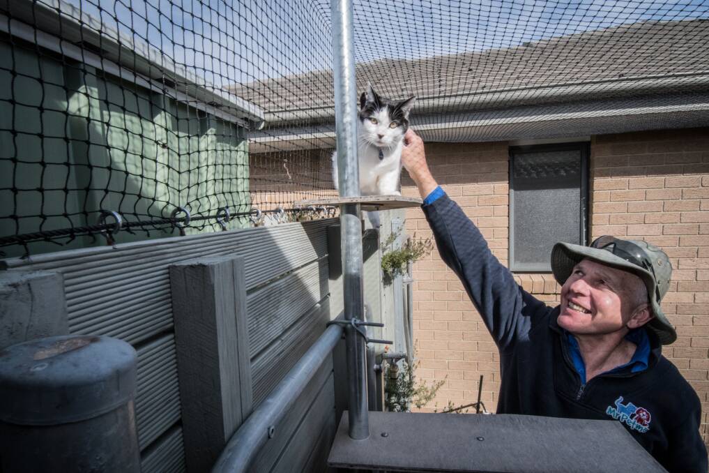 Thomas Graham, who says he's installing more cat containment spaces in older suburbs where laws about roaming cats aren't in place. Photo: Karleen Minney