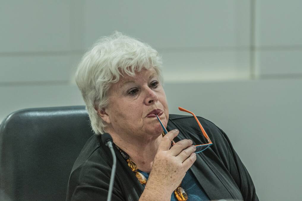 Canberra Liberals MLA Vicki Dunne is chairwoman of the Public Accounts Committee that will examine the rural land audit. Photo: Karleen Minney