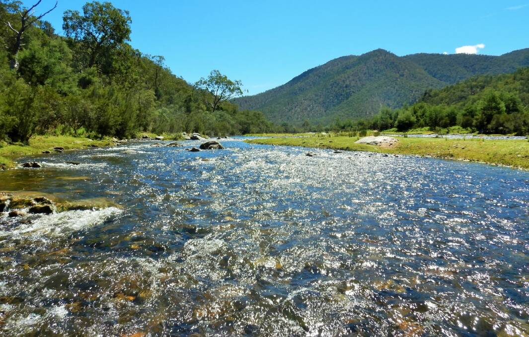 A rare section of running water on the Snowy River. Photo: Tim the Yowie Man